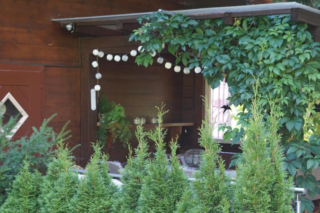 Landhaus Zirmhof Saalbach-Hinterglemm Kültér fotó